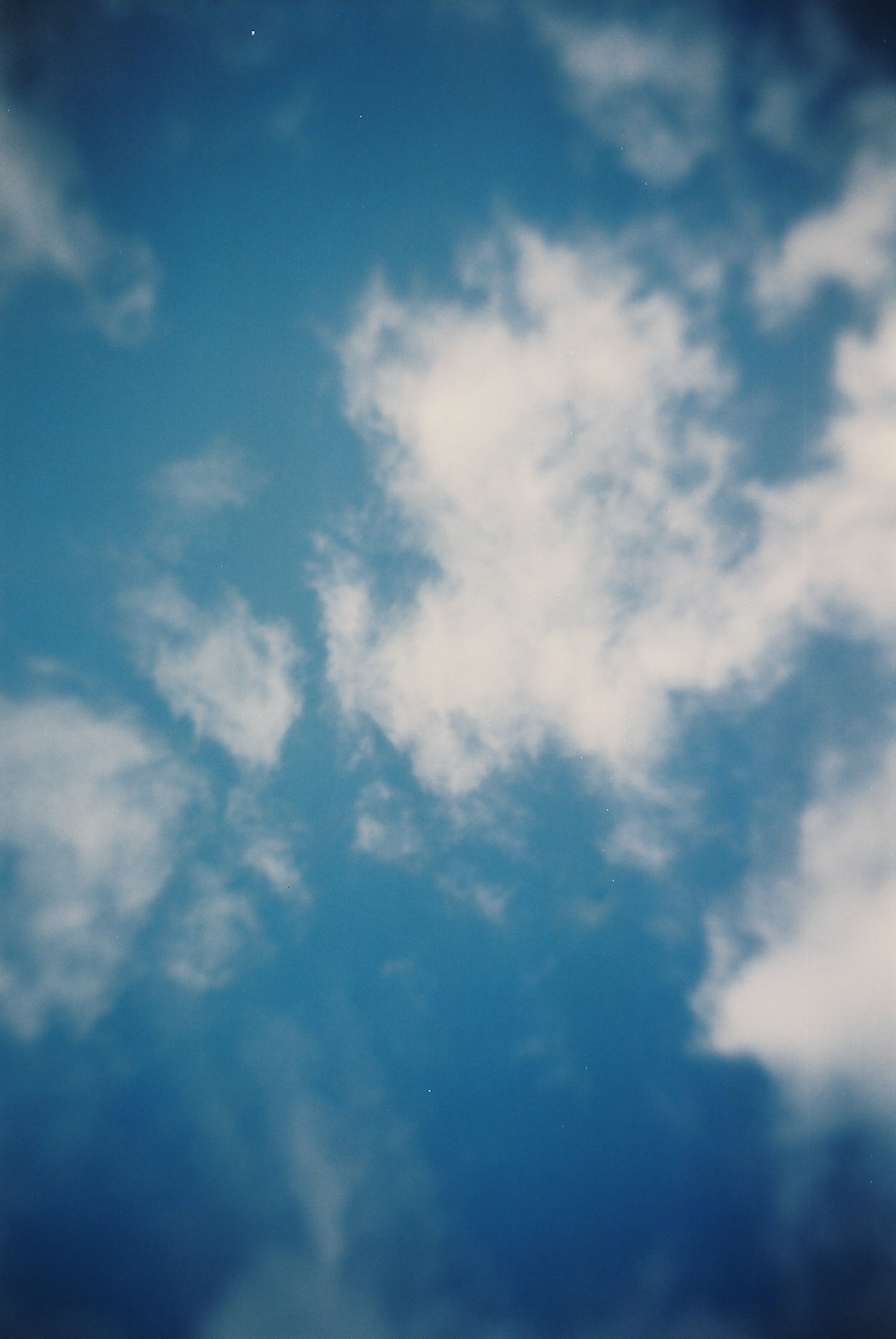 a0145288_20403117.jpg