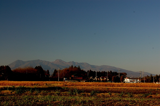 b0203588_171337.jpg