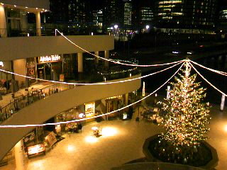 a0103293_1229997.jpg