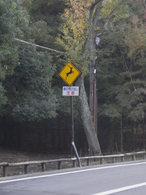 e0152493_14292946.jpg