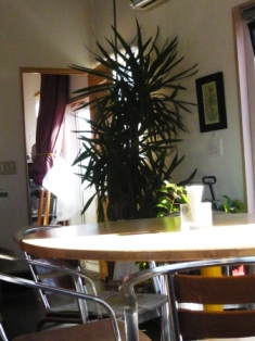 c0182096_1022524.jpg