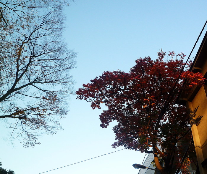 c0138198_9201237.jpg