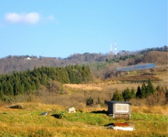 c0151898_1557244.jpg