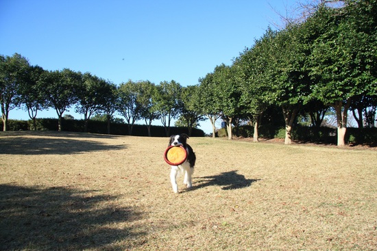f0034602_17213086.jpg
