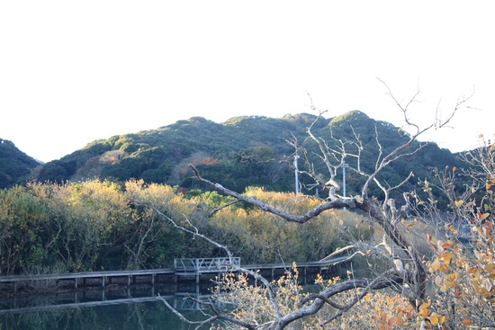 f0034602_17521426.jpg