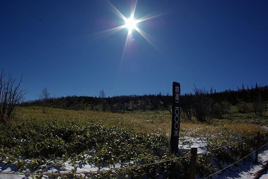 e0183804_21493659.jpg