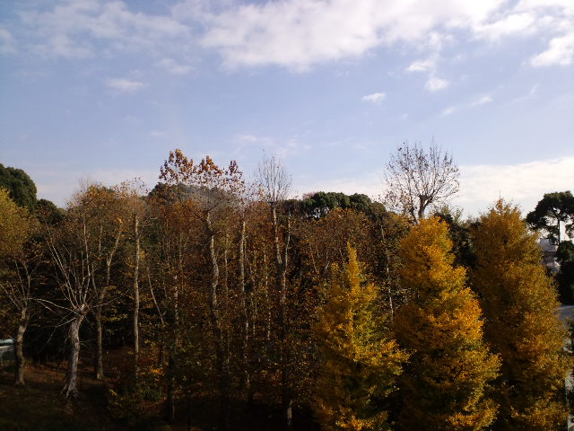a0088007_094971.jpg