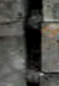 e0103408_1132572.gif