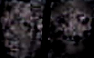 e0103408_17224396.gif