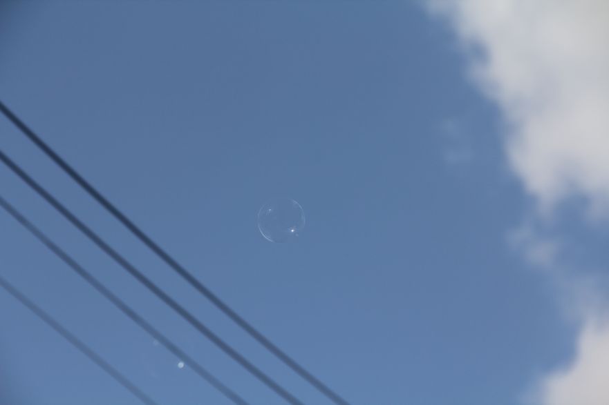d0144909_21365292.jpg