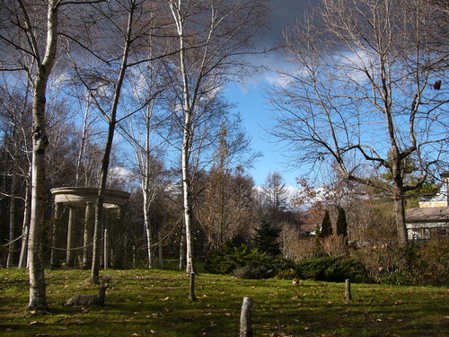d0183417_22374973.jpg
