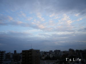 d0179818_1056269.jpg