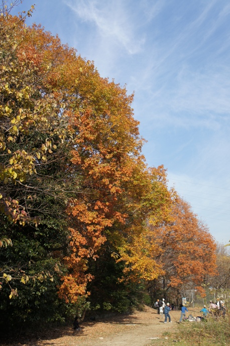 c0060920_1412455.jpg
