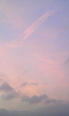 d0024220_16555752.jpg