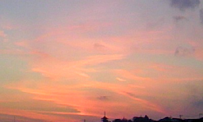 d0024220_1656177.jpg