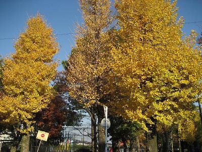 f0139520_20511893.jpg