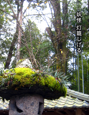 e0112226_1301990.jpg