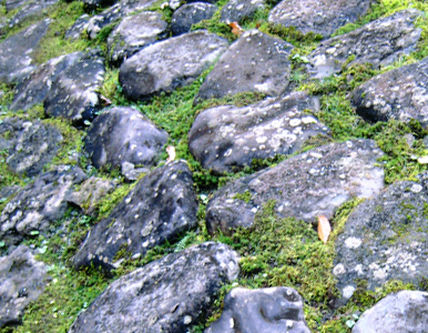 e0112226_16462662.jpg