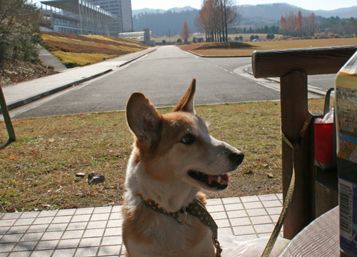 e0077528_1922204.jpg