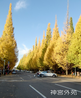 e0197028_21324285.jpg