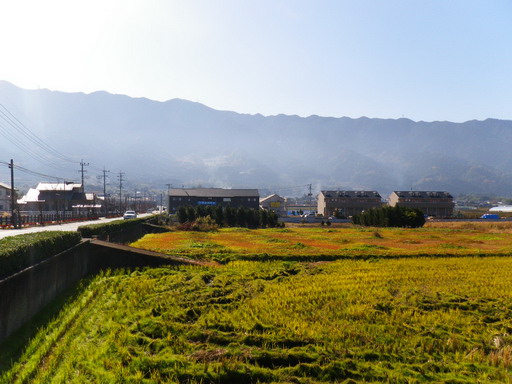 f0000330_18274773.jpg