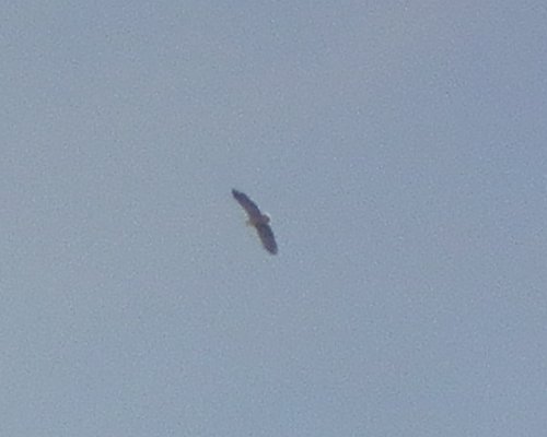 f0118332_2382053.jpg