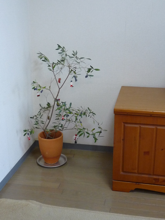 c0100534_882488.jpg