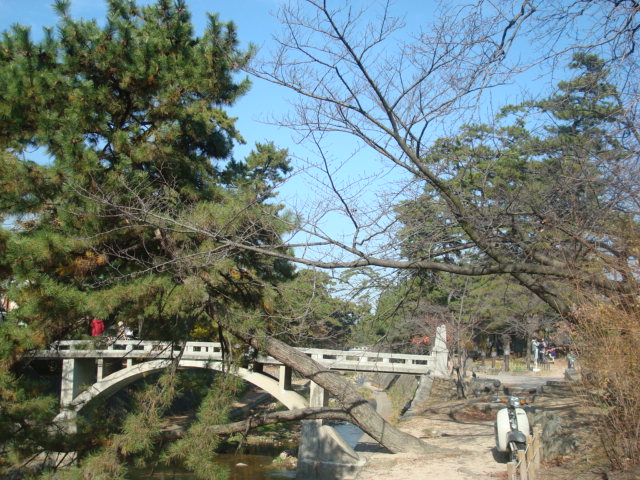 f0209534_13475575.jpg