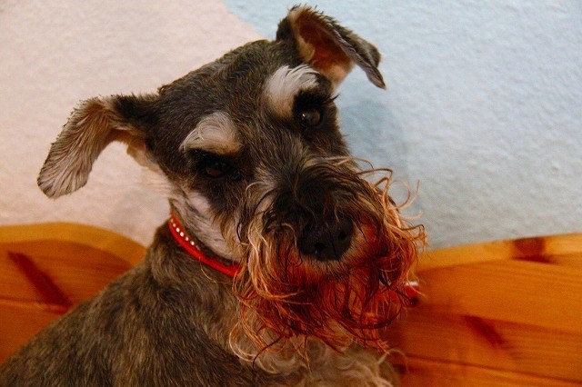 c0153740_405630.jpg
