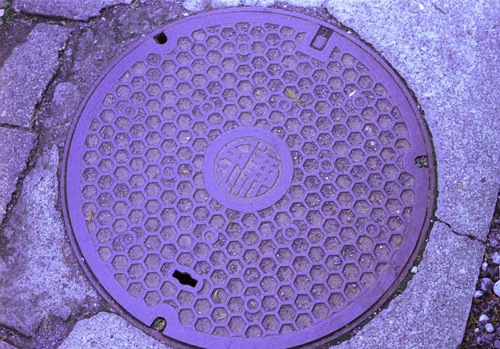 d0089742_23291951.jpg