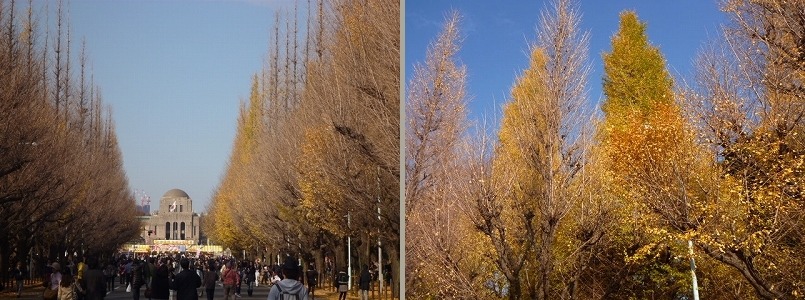 e0210347_825285.jpg