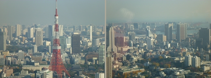e0210347_8395061.jpg