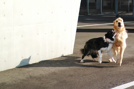 f0044853_061825.jpg