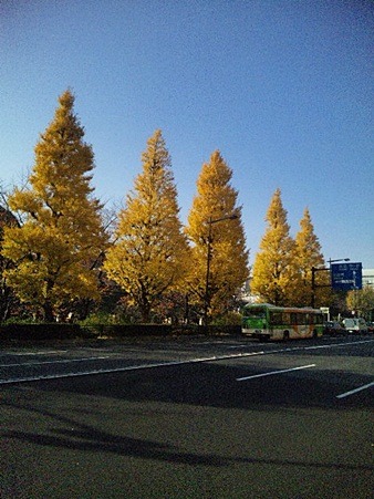 c0074156_21571760.jpg