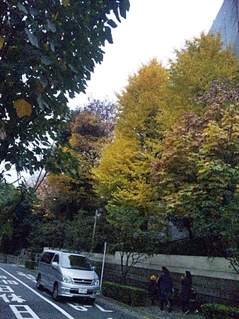 c0074156_222481.jpg
