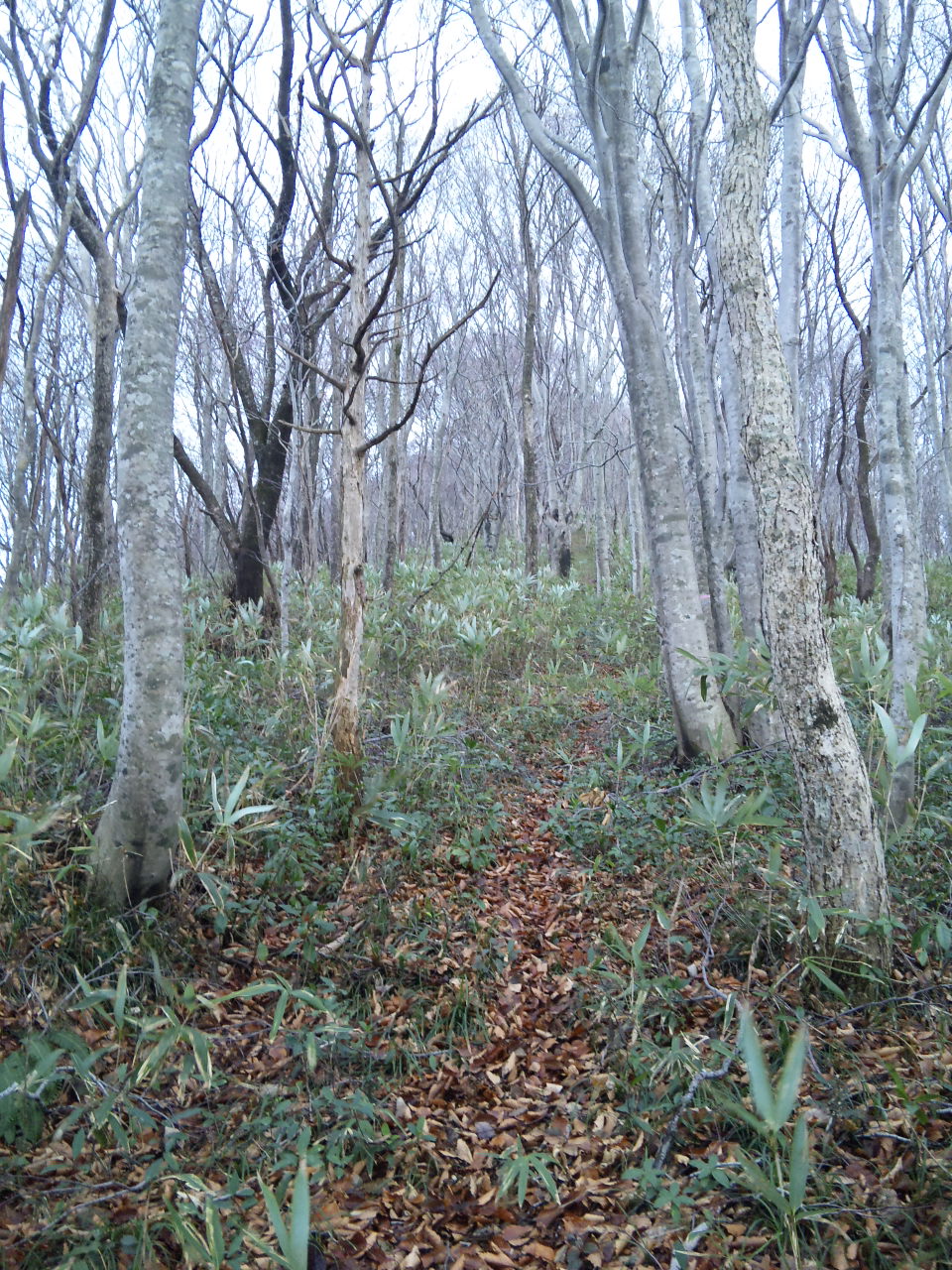 d0169556_18435740.jpg