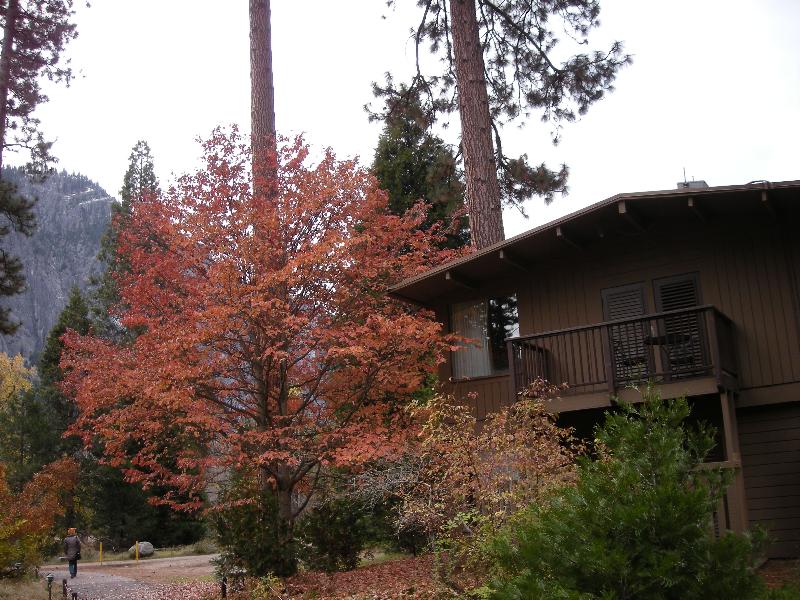 f0201657_1491612.jpg