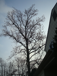 c0178169_1111548.jpg