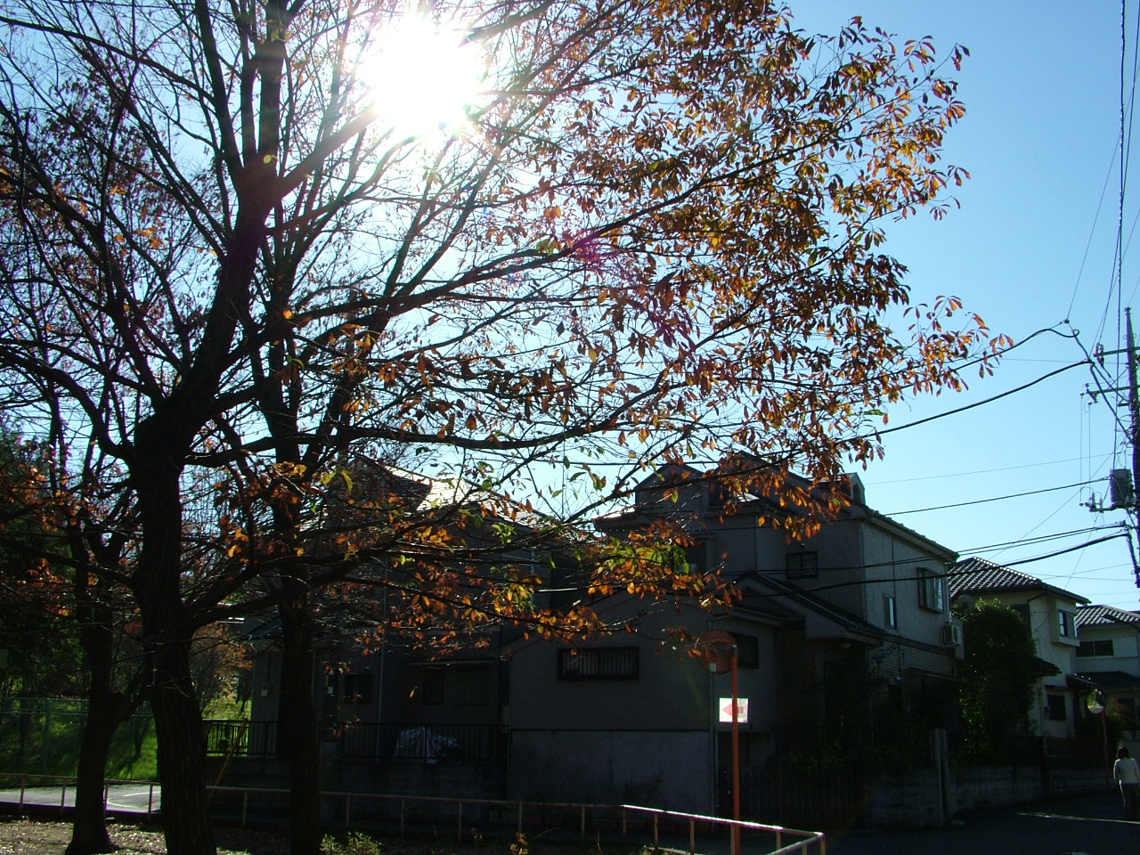 b0141970_5143626.jpg