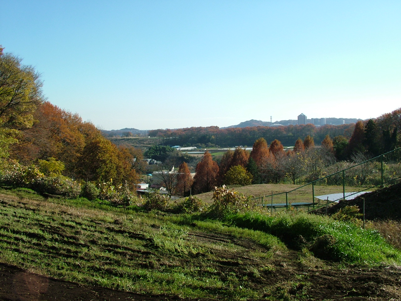 b0141970_5171446.jpg