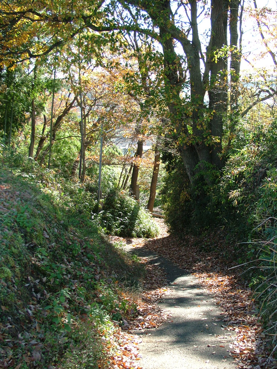 b0141970_518624.jpg