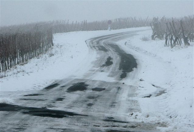 f0119071_7351737.jpg