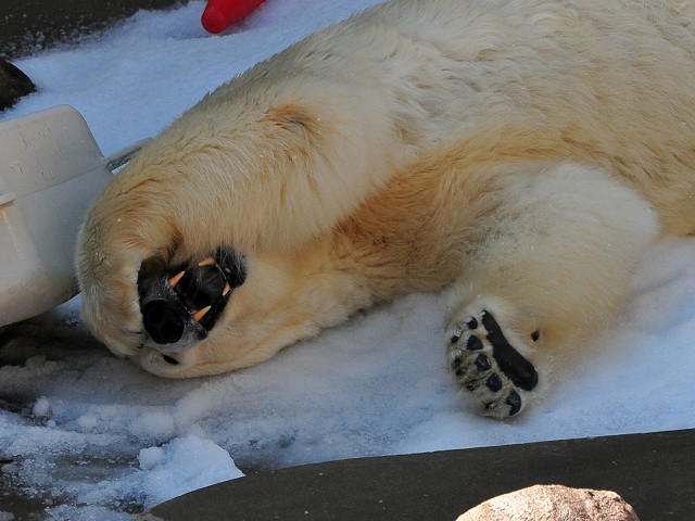 b0145677_99223.jpg