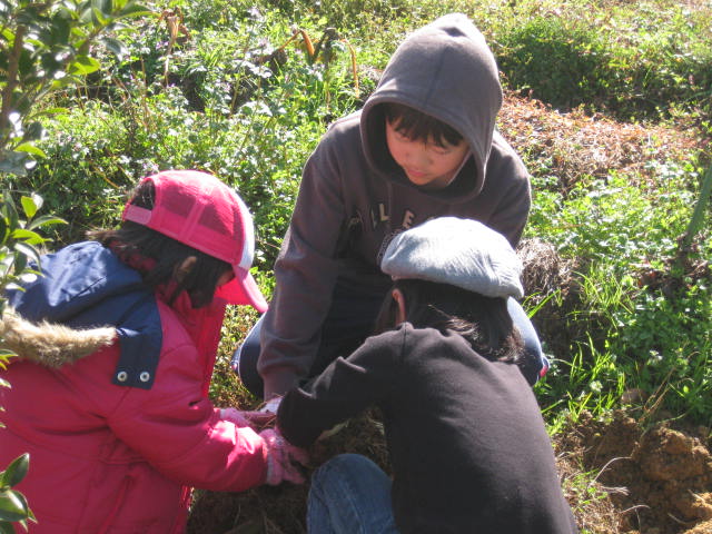 e0168877_2250251.jpg