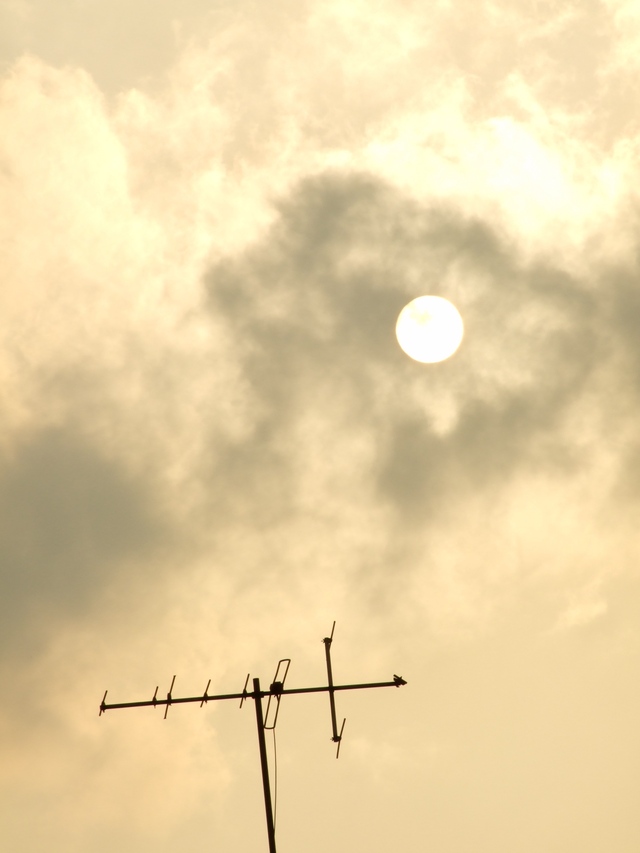 a0106978_2354278.jpg