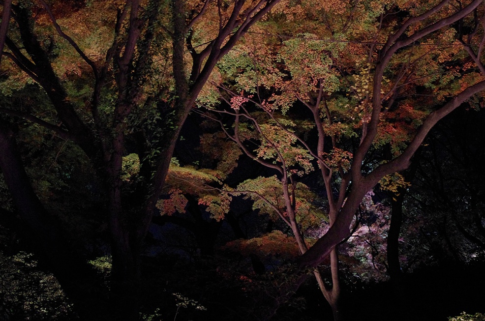 b0165778_13175220.jpg