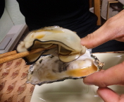 f0237680_9102564.jpg