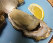 f0237680_910259.jpg