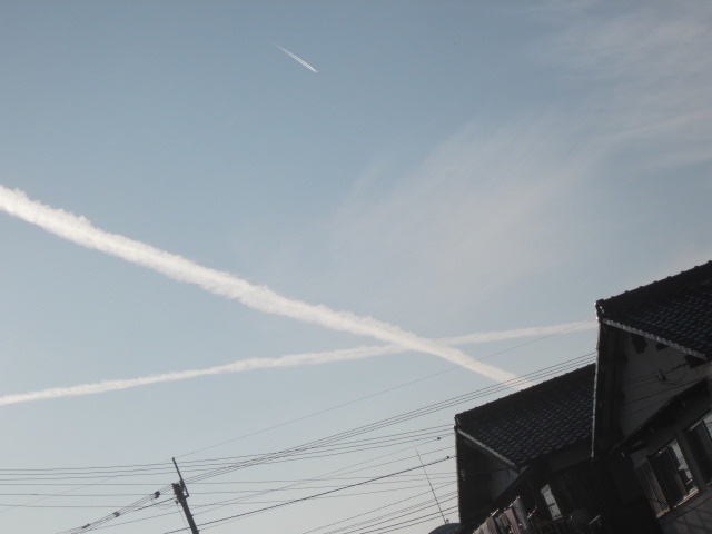 f0005081_20463950.jpg