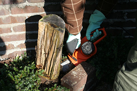 c0045882_232129.jpg